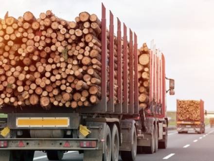 Fort Collins, CO Truck Accident Attorney